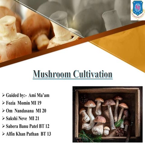 MUSHROOM CULTIVATION.pdf