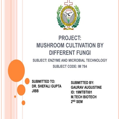 Mushroom cultivation by different fungi