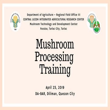 Mushroom Processing 