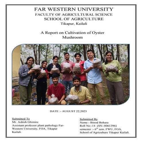 A Report on Cultivation of Oyster  Mushroom