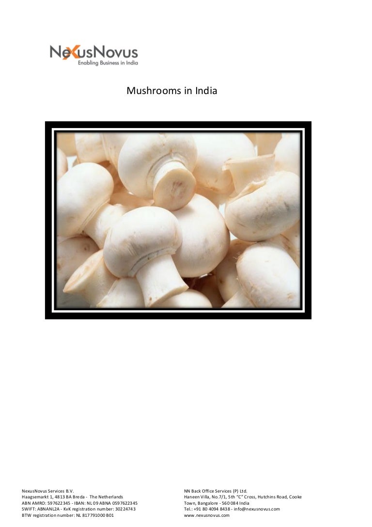 Mushrooms in india