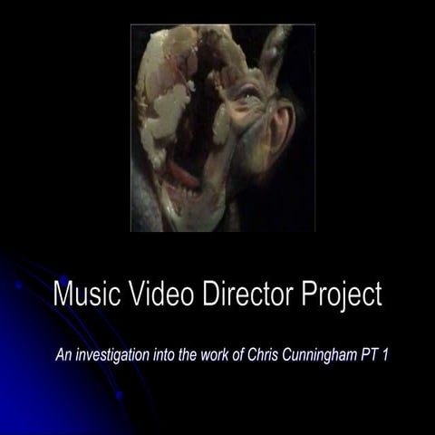 Music video director project