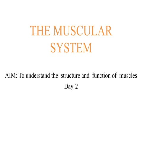 Muskuloskeleton day 2