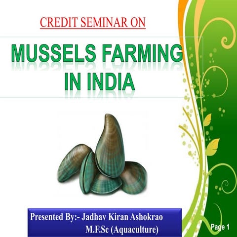 Mussels Farming in India