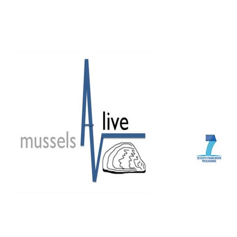 Blue mussels aquaculture challenges explained