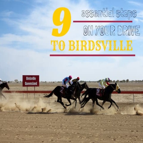 9 essential stops from Brisbane to Birdsville