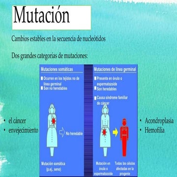 Mutación. polimorfismos