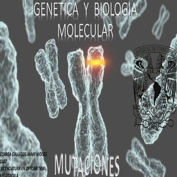 Mutaciones y Mutagenos