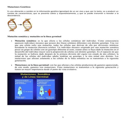 Mutaciones morfológicas en Drosophila melanogaster | PPTX