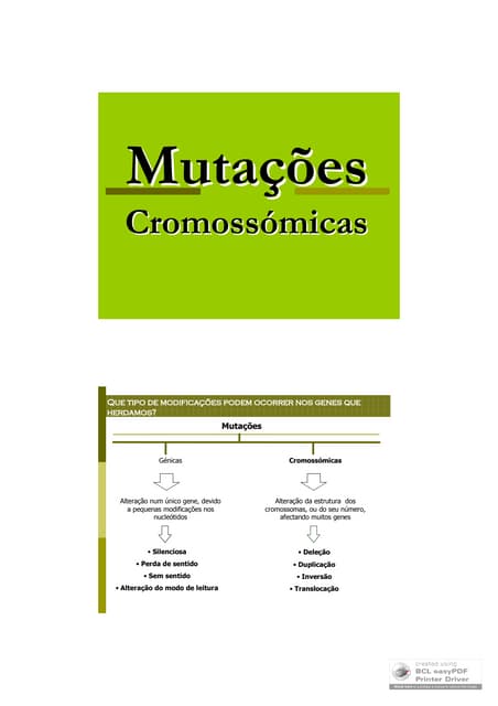 Mutações Cromossómicas