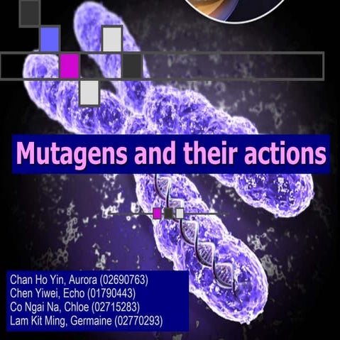Mutagens and their actions