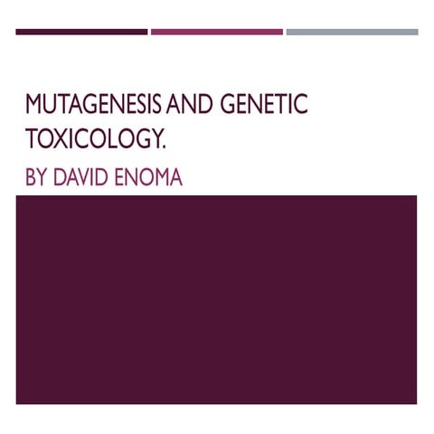 Mutagenesis and genetic toxicology 