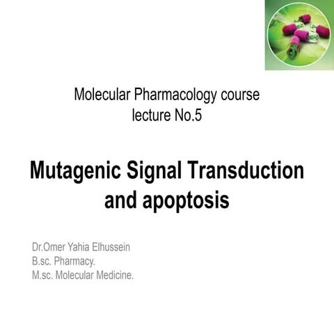 Mutagenic signal transduction (5)