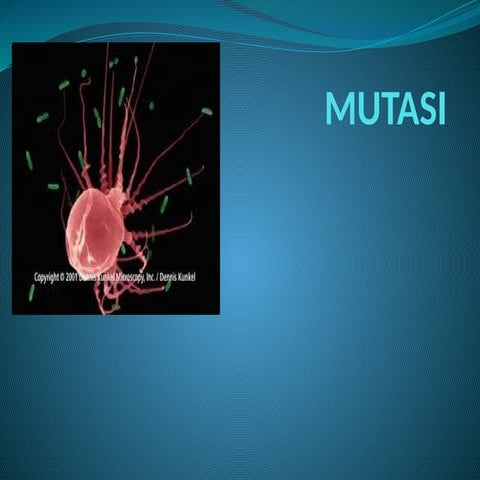 MUTASI_dan genetik materi pembelajaran 12 | PPTX