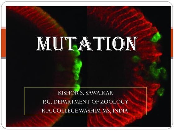 Gene mutations ppt | PPT | Infertility | Reproductive Health