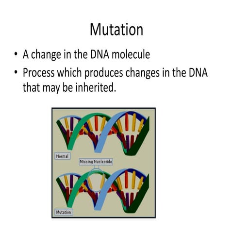 Mutation