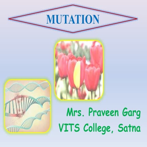 Mutation