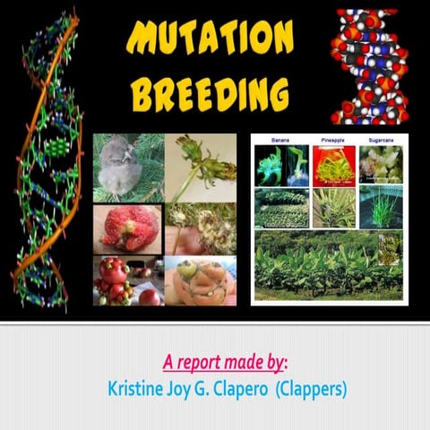 Mutation Breeding