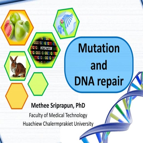 Mutation and DNA repair