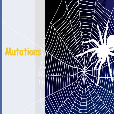 Mutations Powerpoint.ppt