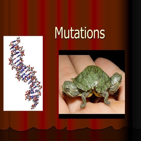 Genetic Mutations | PPT