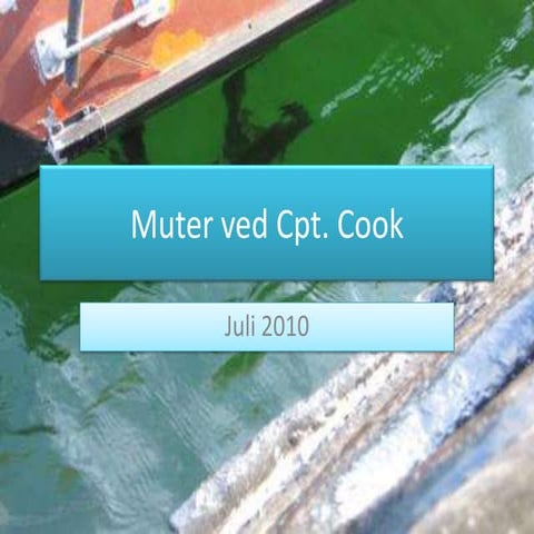Multer ved cpt_hook