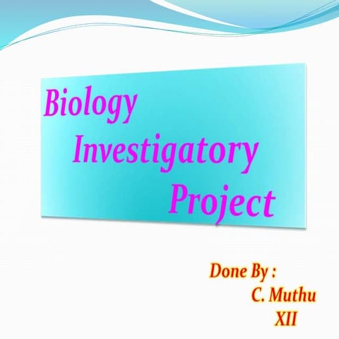 Muthu's Project-1.pdf