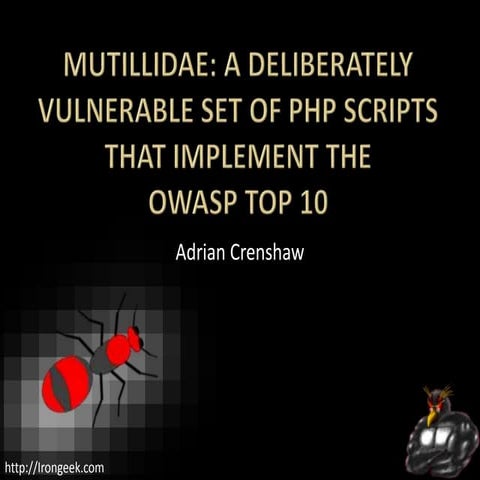 Mutillidae and the OWASP Top 10 by Adrian Crenshaw aka Irongeek