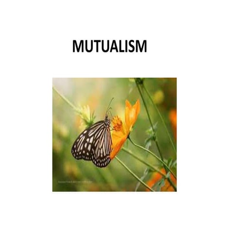Mutualism | PPTX