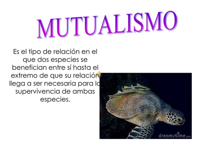 Mutualismo