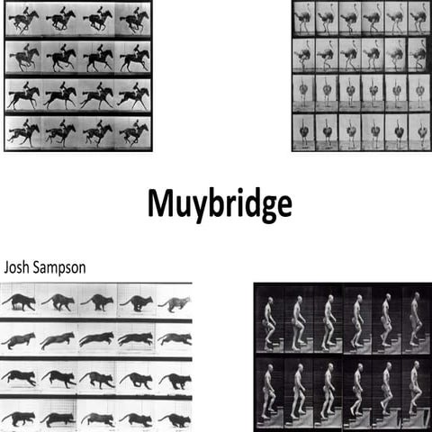Muybridge