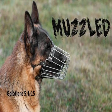 muzzled