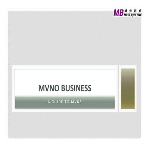 The Open Source Telco, KS Lau, Multi-Byte Info Technology