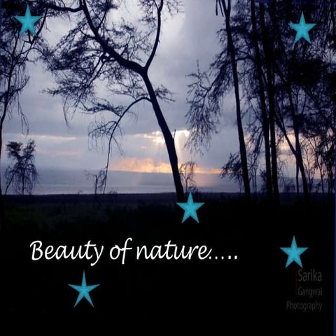 Beauty of nature