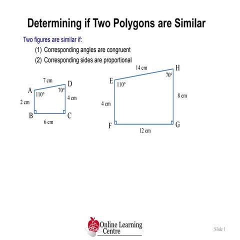 MWA10 6.2 Similar Polygons