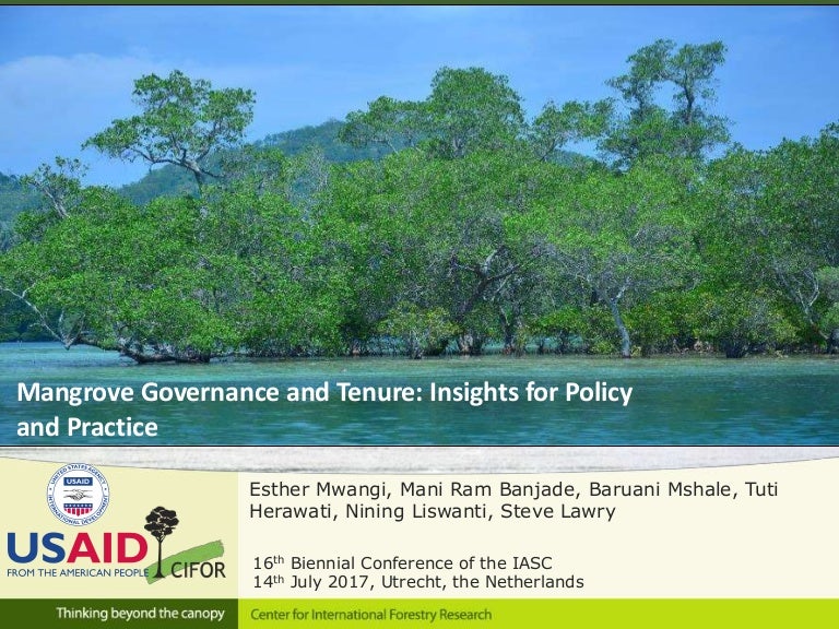 thumbnail of  Mangrove governance and tenure: Insights for policy and practice from selected sites in Indonesia, Tanzania and a global review