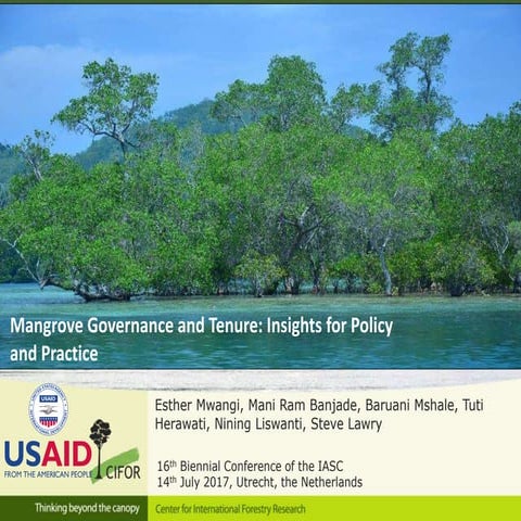 Mangrove governance and tenure: Insights for policy and practice from selecte...