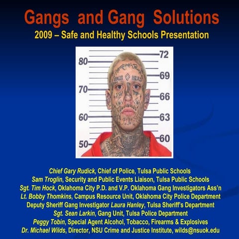 Gang Safety