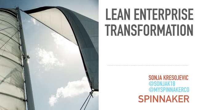 Lean Enterprise Transformation: The Journey Inside Large Organizations, Sonja...