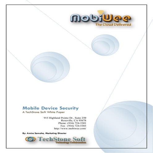 Security White Paper