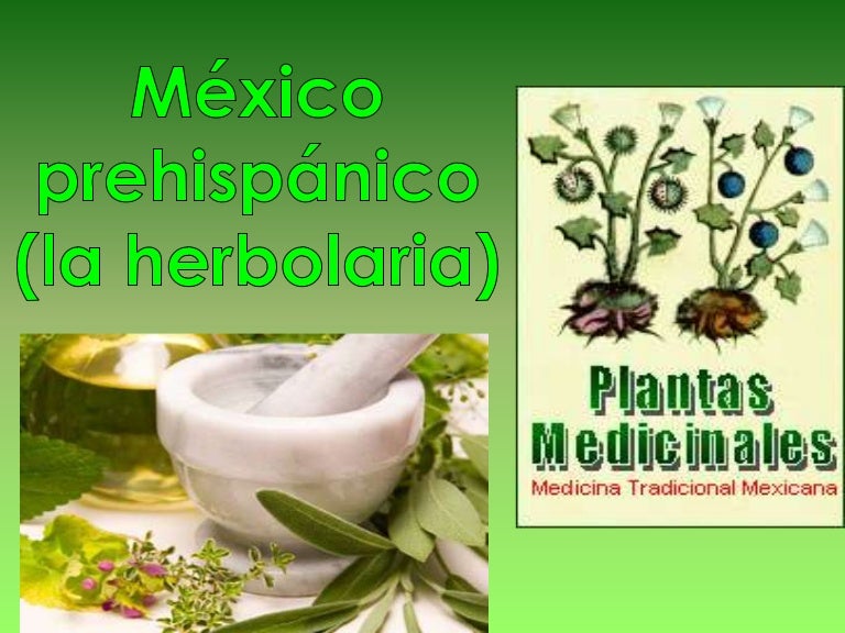 México prehispanico (herbolaria)