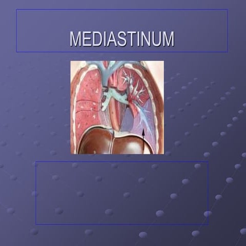 Mediastinum