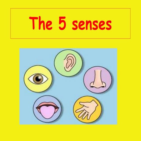 my-five-senses-conversation-topics-dialogs-fun-activities-games_42578.ppt