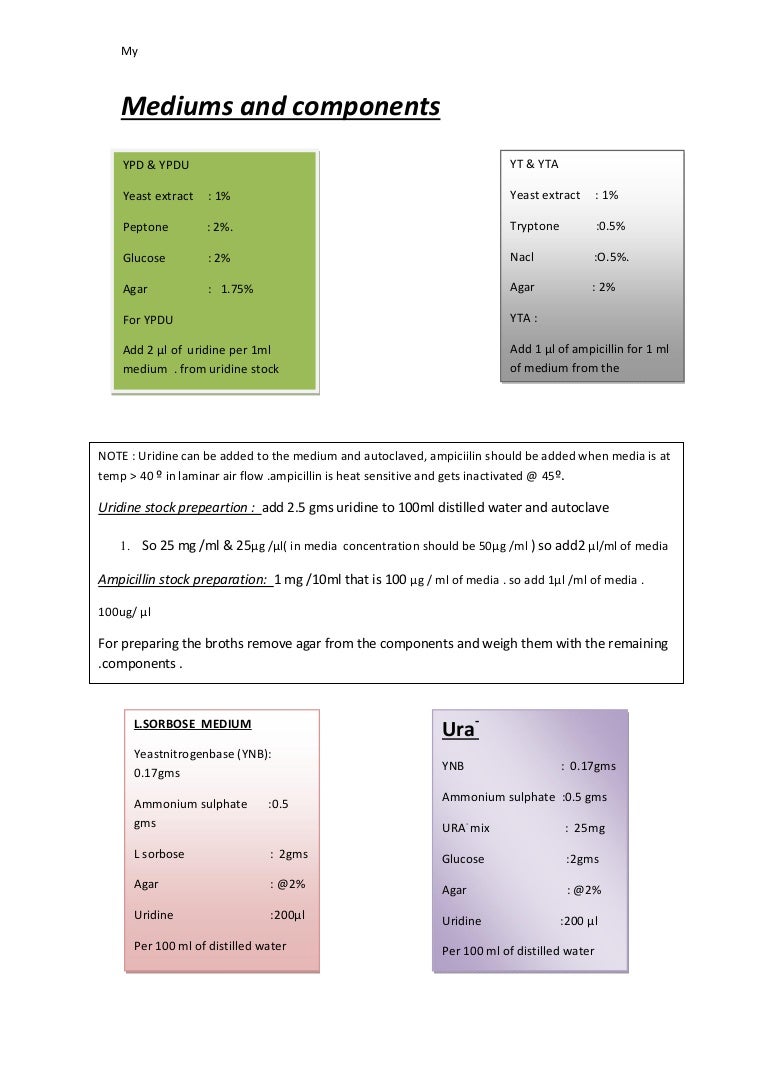 Molecular biology Lab protocol