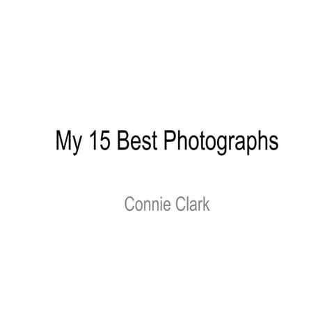 My 10 Best Photographs