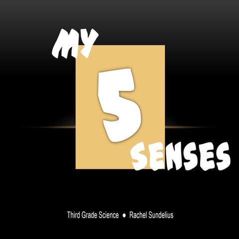 My 5 senses