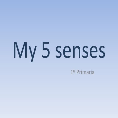 My 5 senses