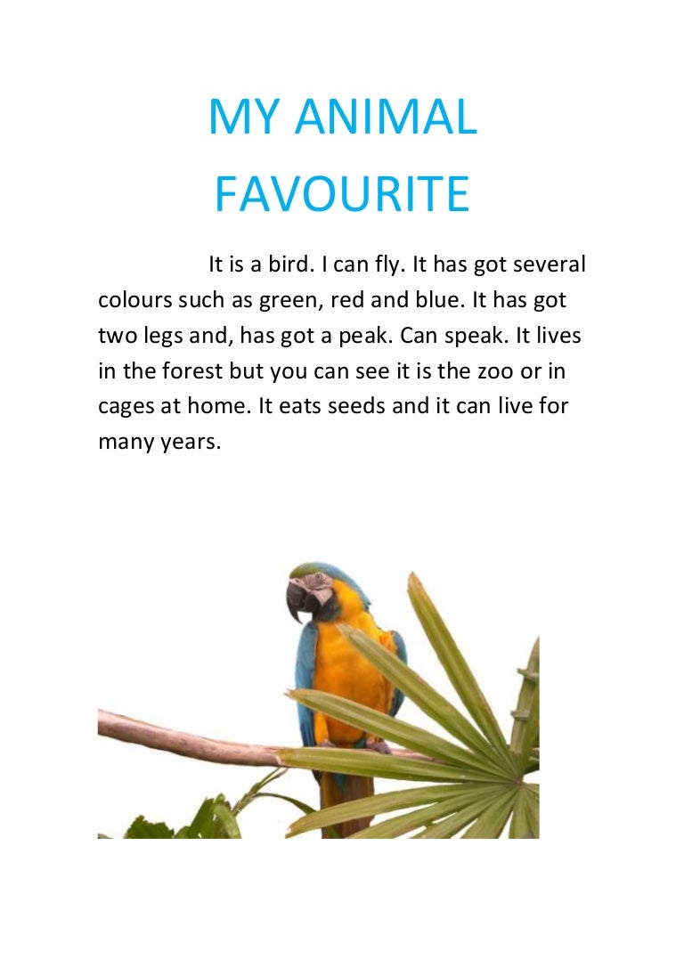 My animal favourite