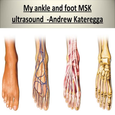 My ankle and foot MSK ultrasound (2).pdf