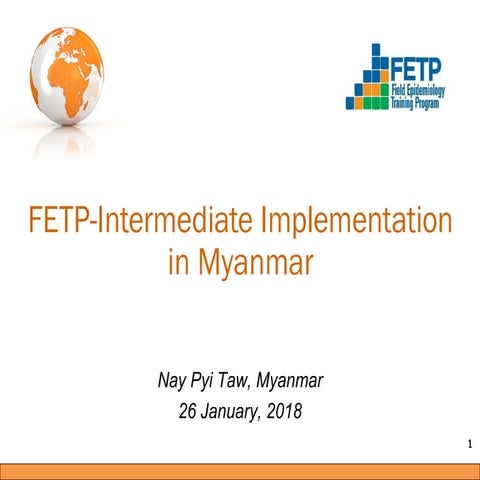 Myanmar fetp intermediate implementation plan